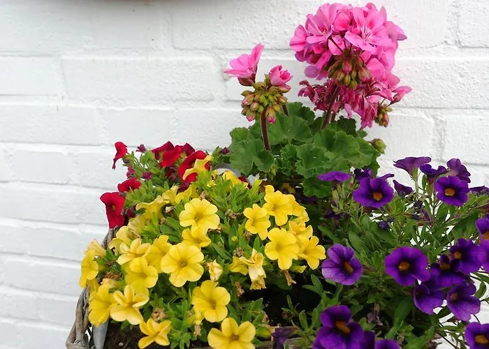 Krasemann イッセルブルク